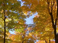 71957PeLeUsm - Walking with Chester along the West Ridge Trails.JPG